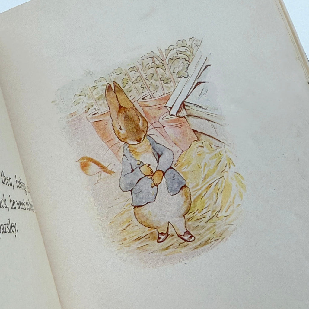 Beatrix Potter Duo Collection Cedar Leaf Books