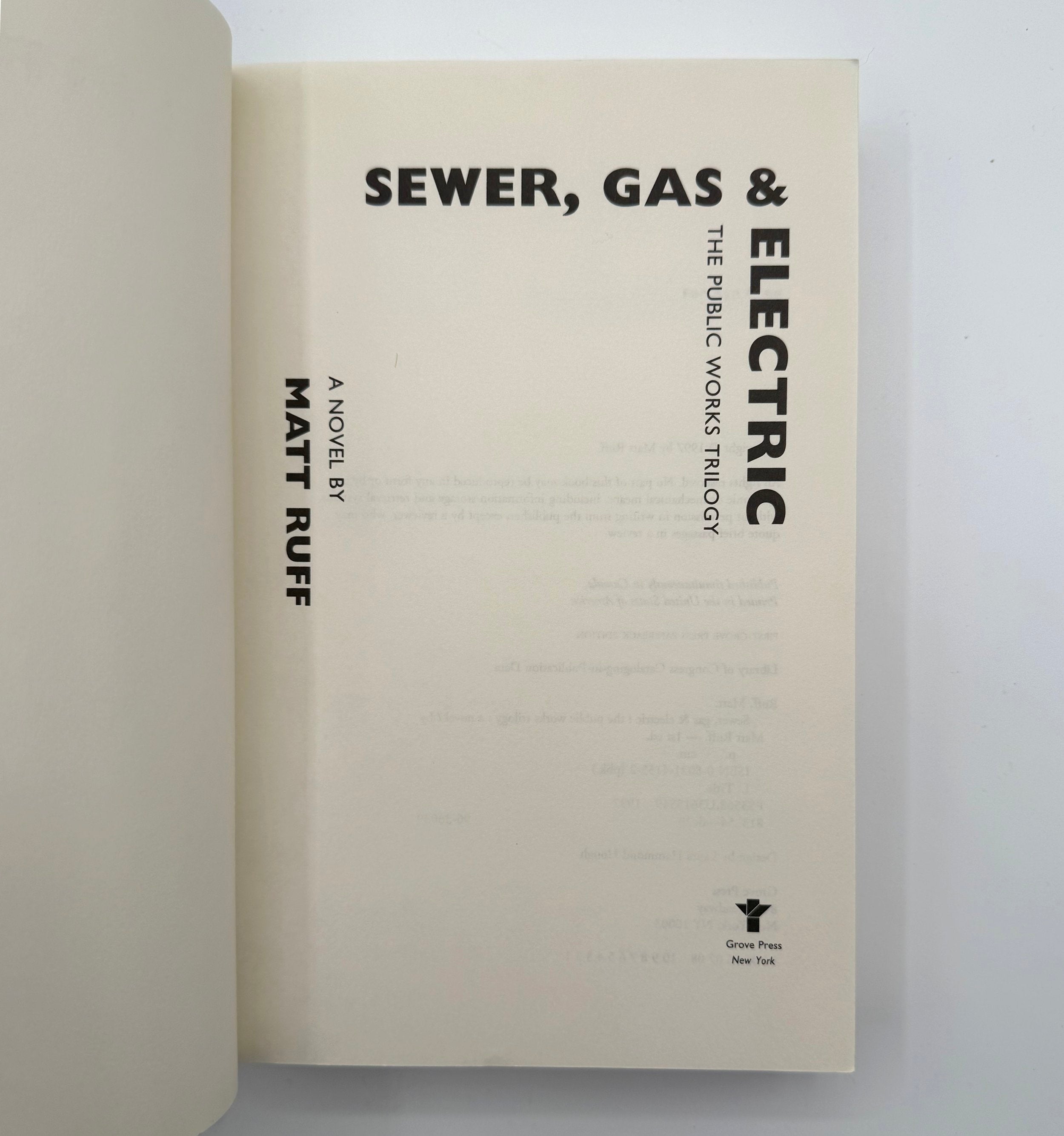 Matt Ruff Duo Collection – Sewer, Gas & Electric 1st Ed + Fool on the Hill Cedar Leaf Books