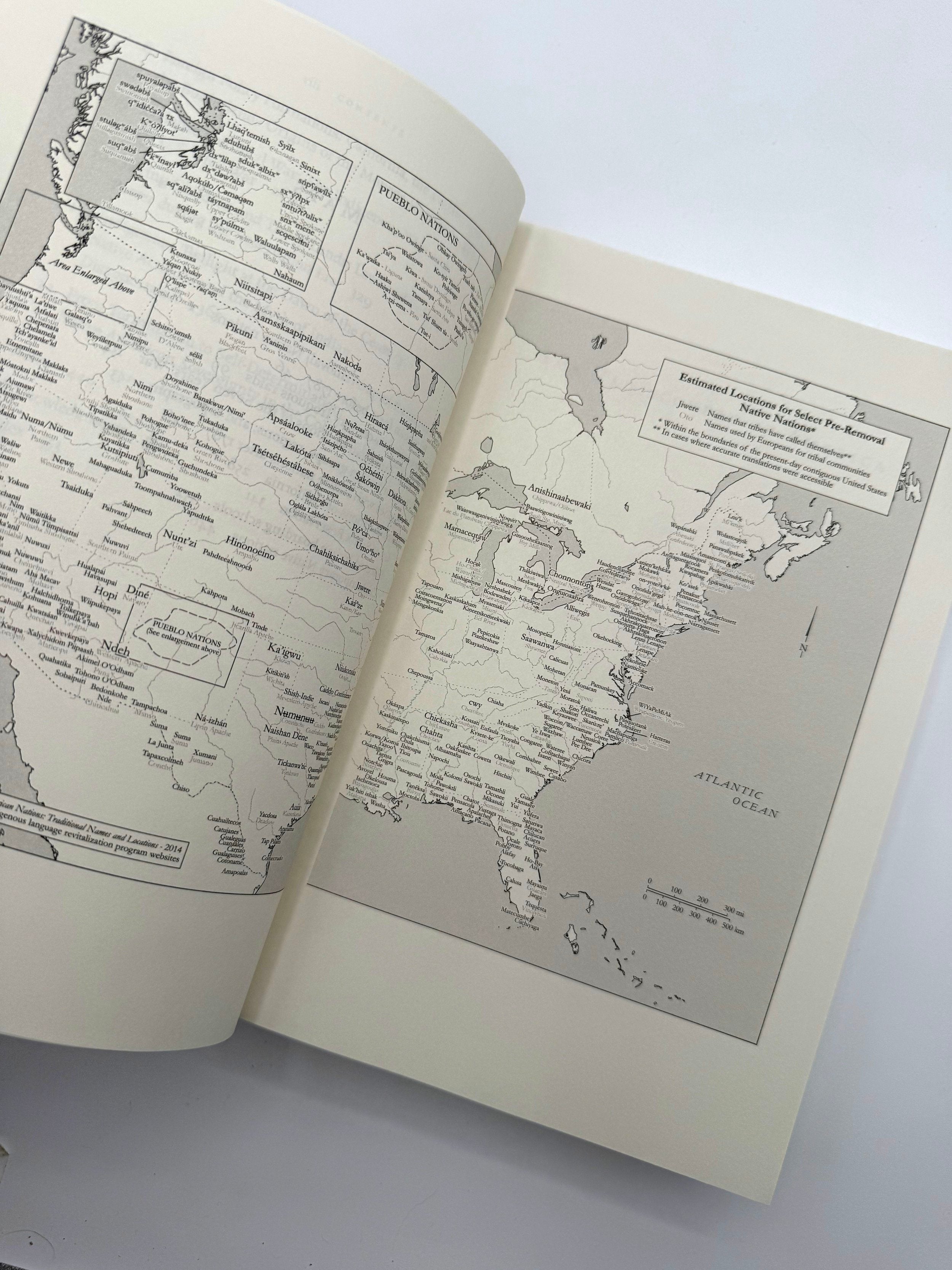 The Rediscovery of America by Ned Blackhawk Cedar Leaf Books