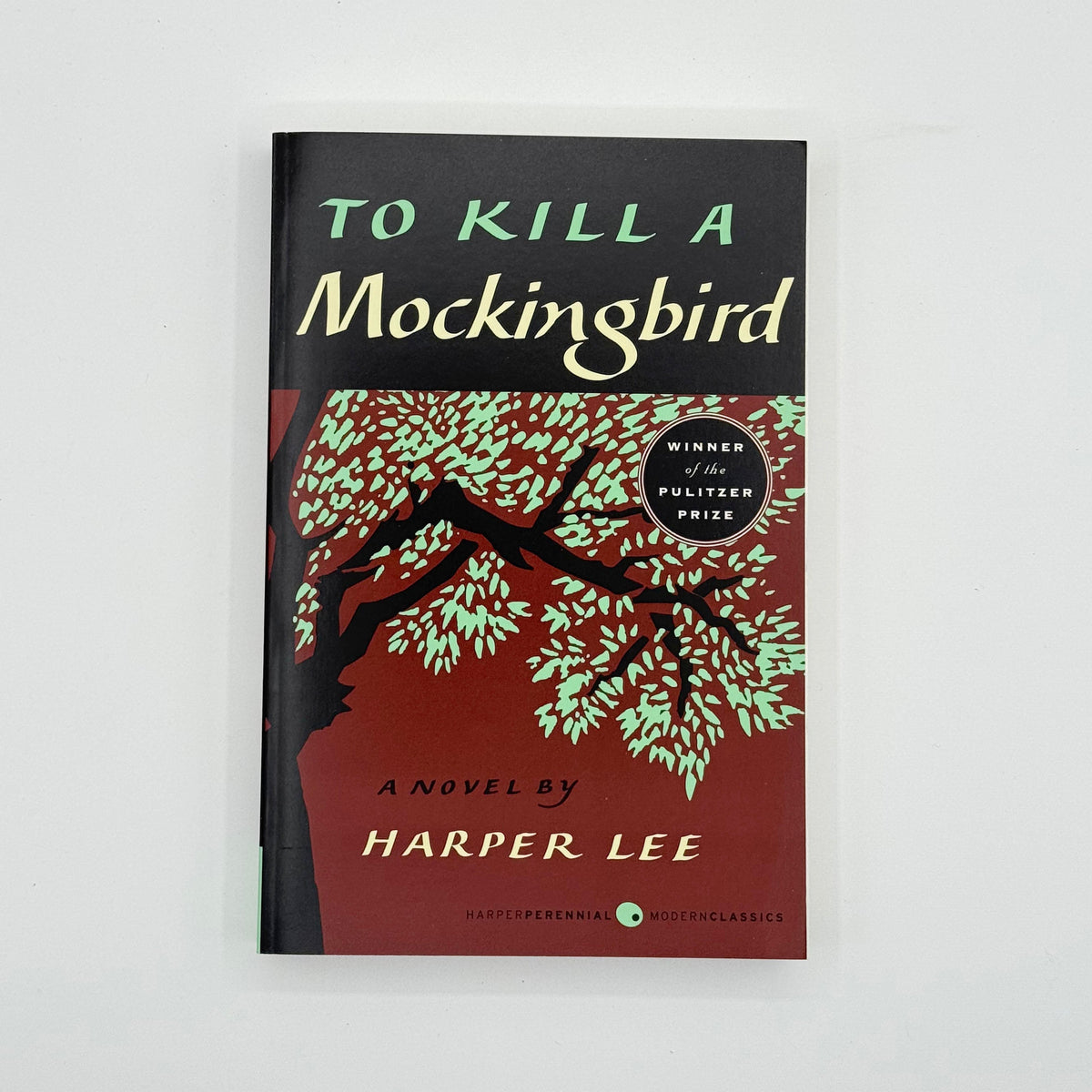 To Kill a Mockingbird by Harper Lee Cedar Leaf Books