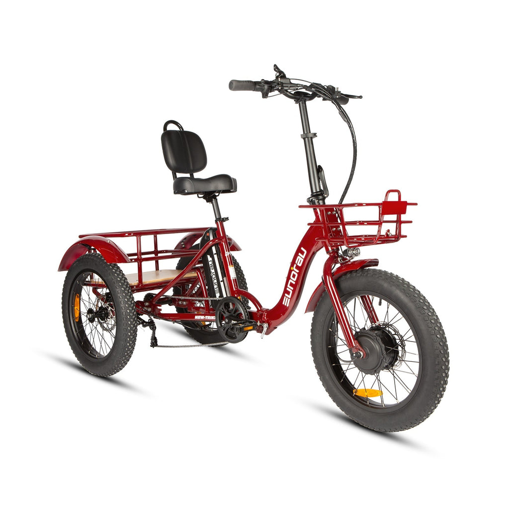 NEW-TRIKE 2.0 EUNORAU E-BIKE US