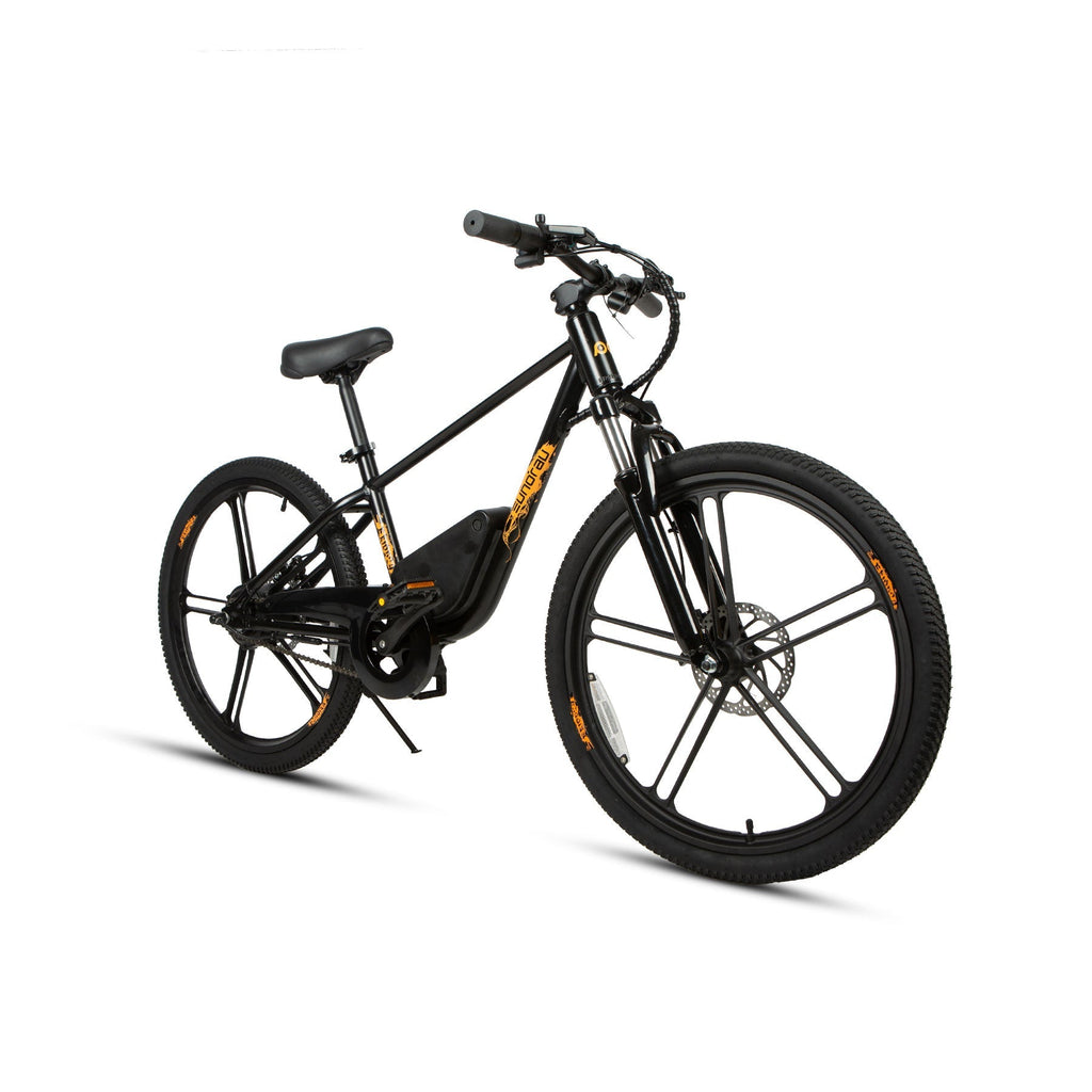 EKIDS24 1.0 EUNORAU E-BIKE US