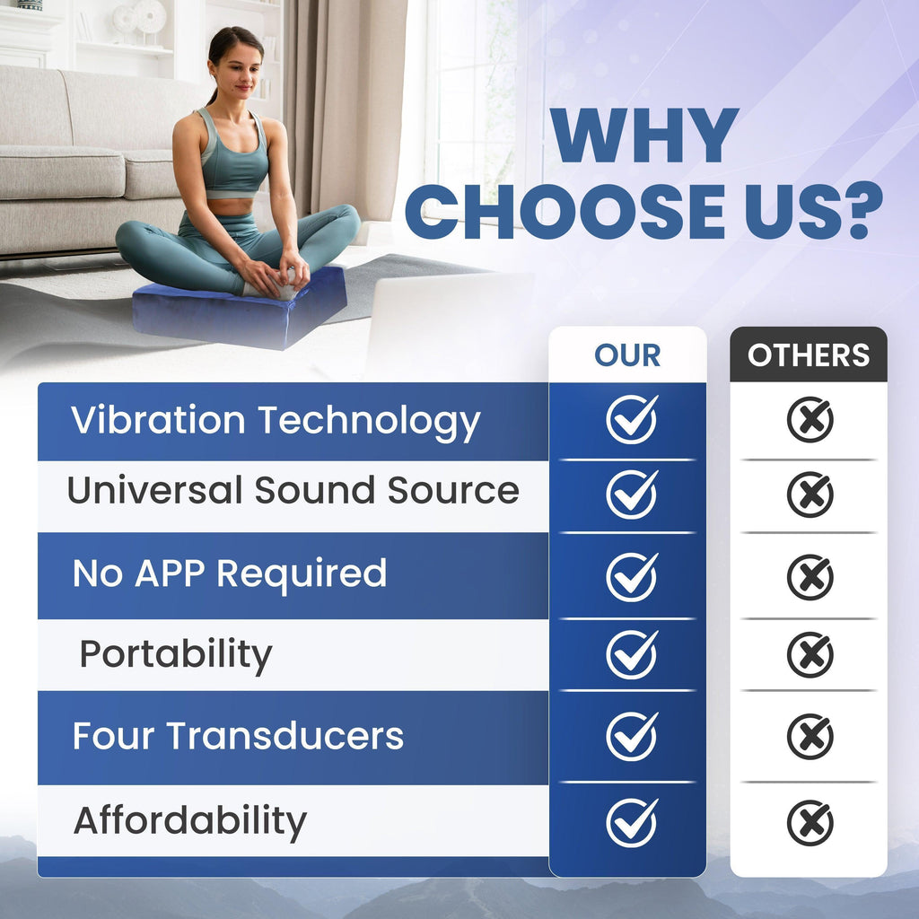 Vibroacoustic Therapy Meditation Cushion bundle with custom amplifier Vibroacoustic Solutions