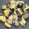 Septarian Calcite Nodule Tumbled (UV Reactive) Bulk Wholesale Lot Polished Gemstones Amazing Crystals
