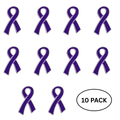 10 Pack Large Flat Purple Ribbon Pins The Awareness Company