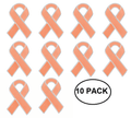 10 Pack Peach Ribbon Awareness Pins The Awareness Company