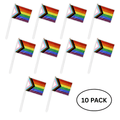 10 Pack Small Daniel Quasar Flags on a Stick The Awareness Company