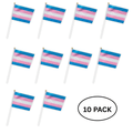 10 Pack Small Transgender Flags on a Stick The Awareness Company