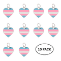 10 Pack Transgender Heart Pride Charms The Awareness Company