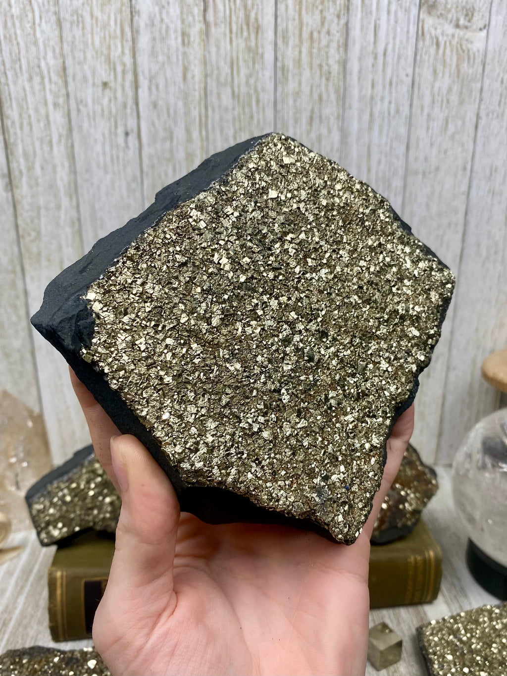 Pyrite on Shungite Raw Layered Plate | Brazil Curious Muse Crystals