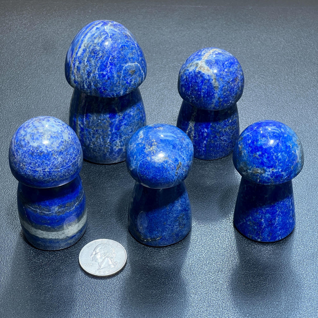 Blue Lapis Lazuli Mushroom Carving Amazing Crystals