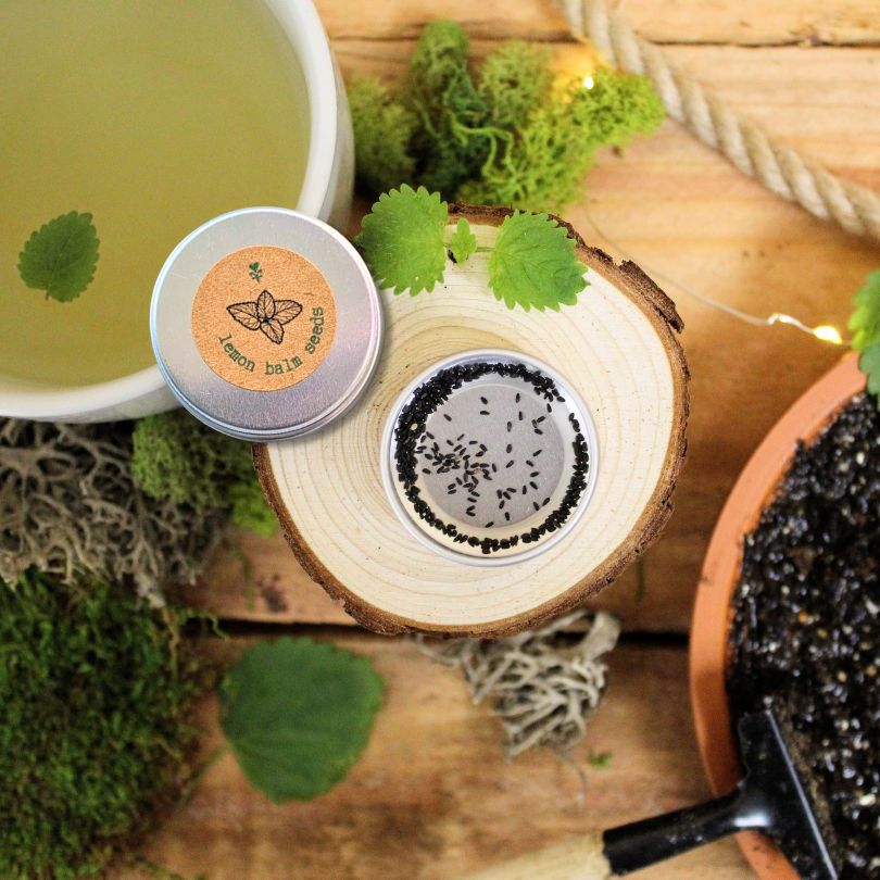 Herbal Tea Seeds Collection Plantflix