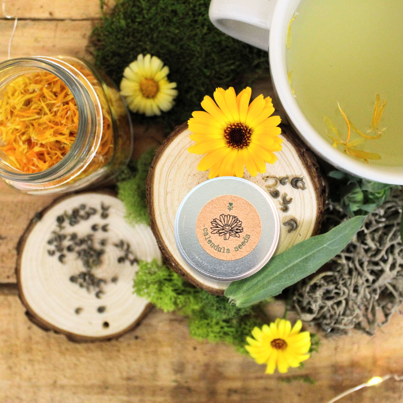 Herbal Tea Seeds Collection Plantflix