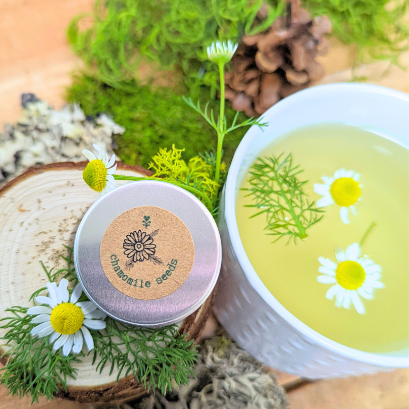 Herbal Tea Seeds Collection Plantflix