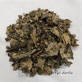 Lungwort (Pulmonaria) | Cut & Sifted Herb NYC Herbs®