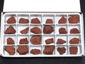 Red Jasper Rough Raw Stones (24 Pcs) Boxed Flat Amazing Crystals
