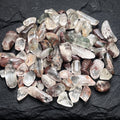 Garden Quartz Crystal Small Tumbled Stones (By The Ounce Or Pound) Amazing Crystals