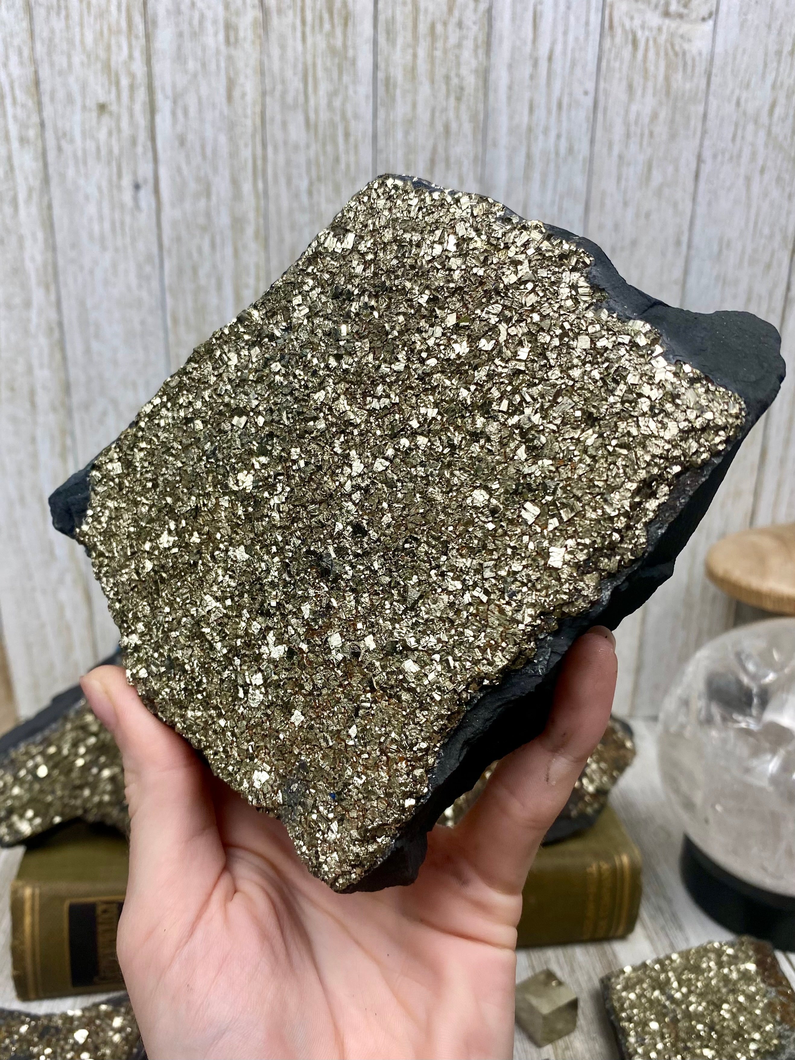 Pyrite on Shungite Raw Layered Plate | Brazil Curious Muse Crystals