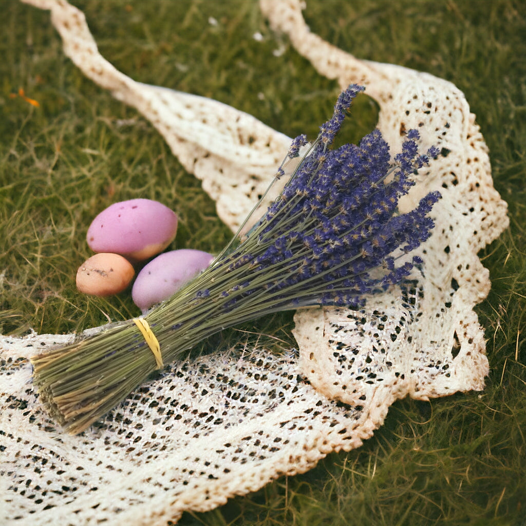 Culinary Lavender Bundles - 14" - 18" Long Findlavender.com
