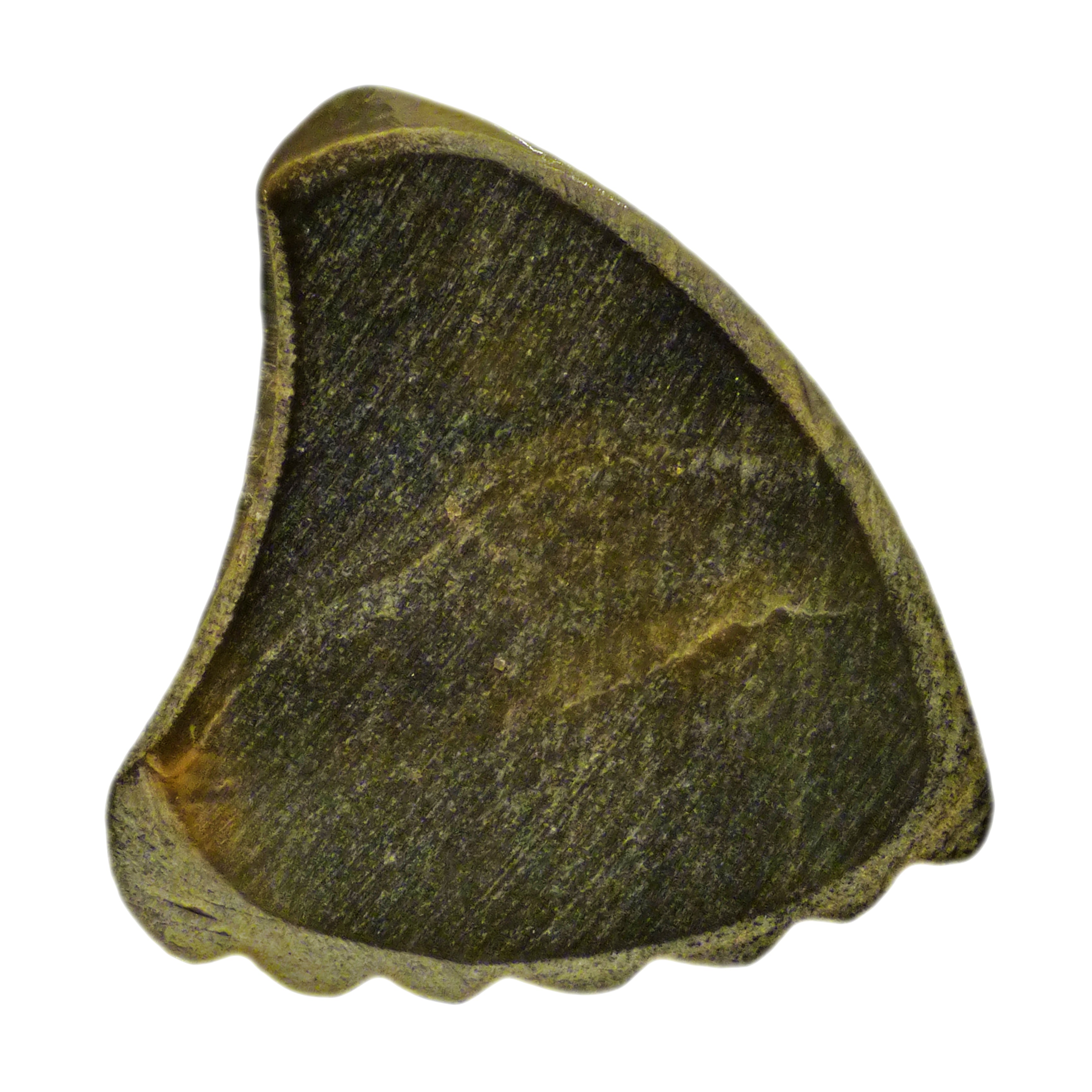 Black Abalone Shell Guitar Or Bass Pick - 2.0 mm - 390 Wedge Shark Fin Shape - Handmade Specialty Exotic Luxury Plectrum Exotic Plectrums