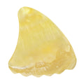 Gold Abalone Shell Guitar Or Bass Pick - 2.0 mm - 390 Wedge Shark Fin Shape - Handmade Specialty Exotic Luxury Plectrum Exotic Plectrums