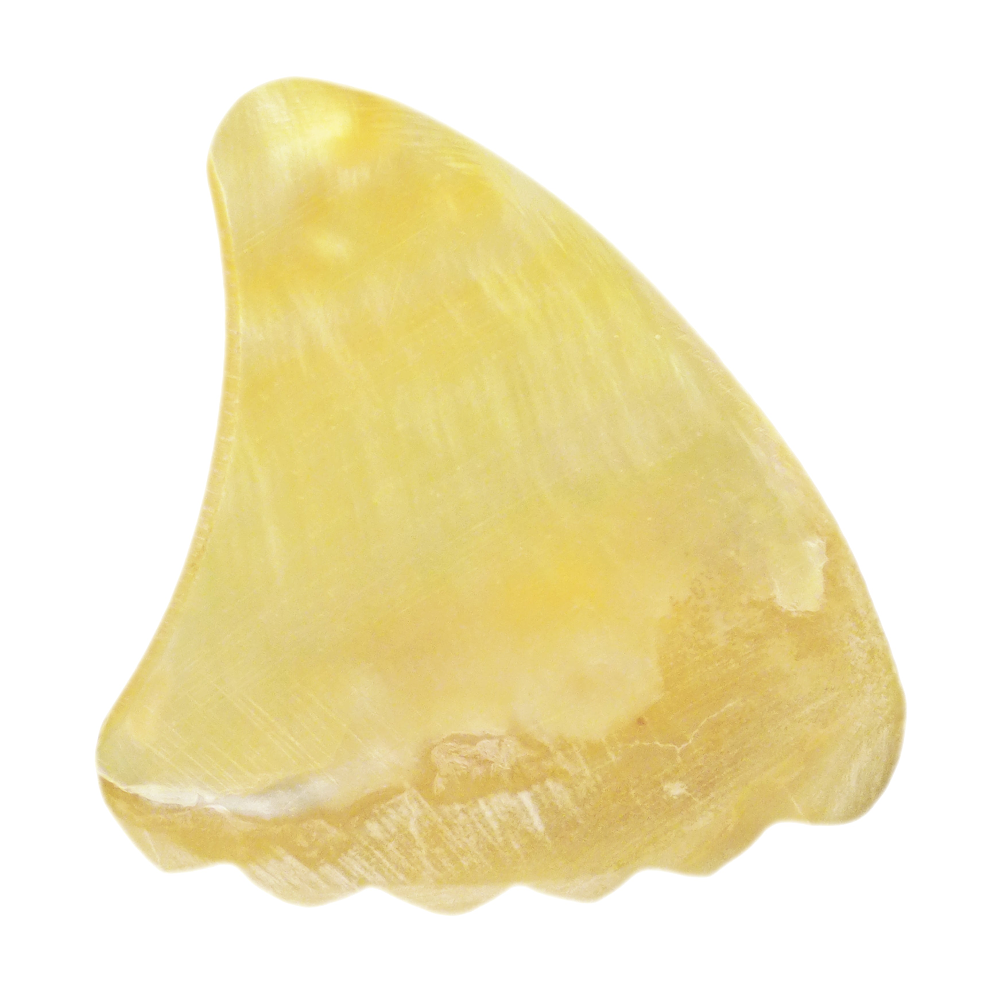 Gold Abalone Shell Guitar Or Bass Pick - 2.0 mm - 390 Wedge Shark Fin Shape - Handmade Specialty Exotic Luxury Plectrum Exotic Plectrums