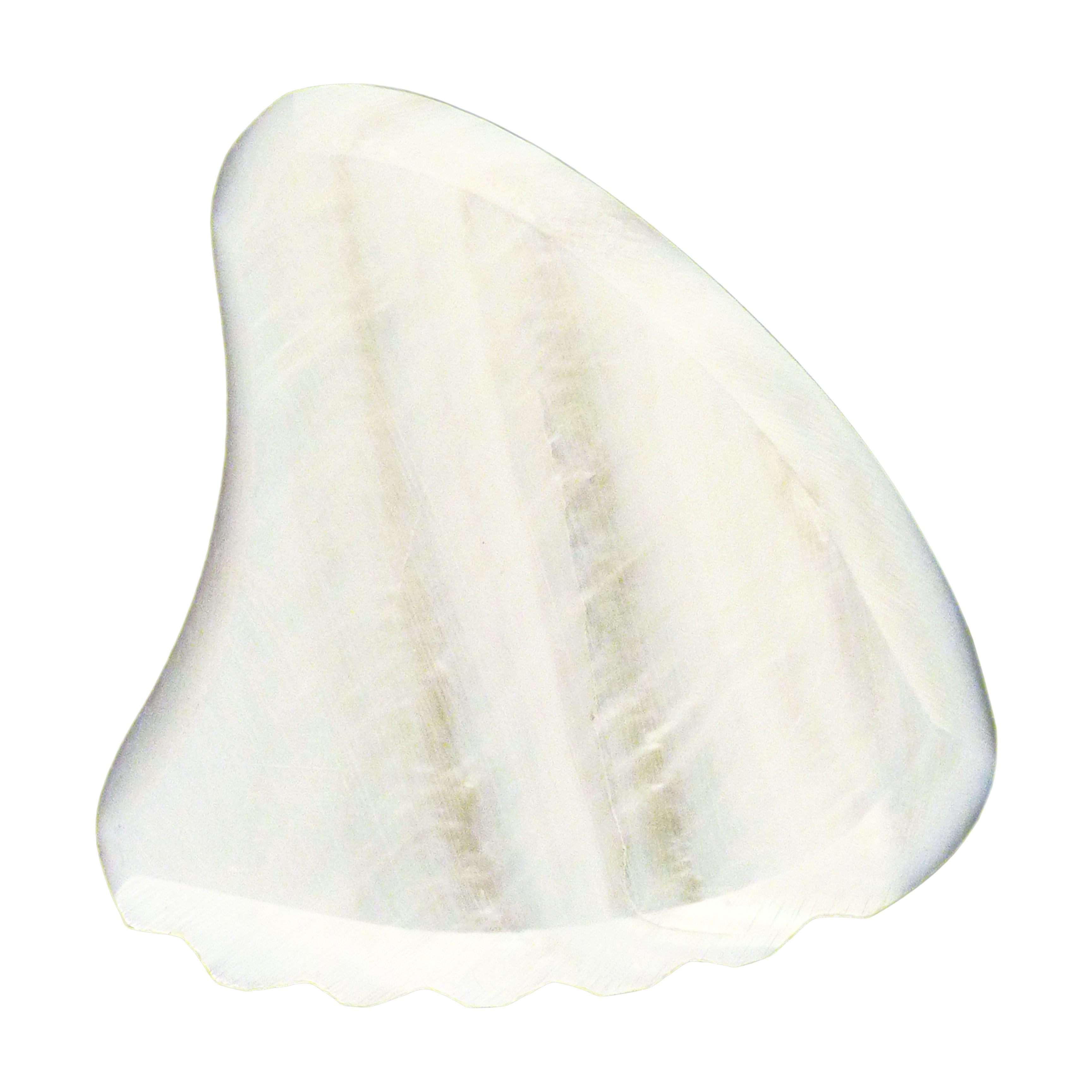 White Abalone Shell Guitar Or Bass Pick - 2.0 mm - 390 Wedge Shark Fin Shape - Handmade Specialty Exotic Luxury Plectrum Exotic Plectrums