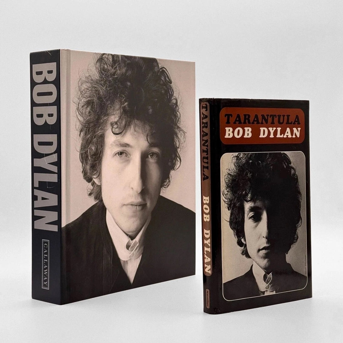Bob Dylan: Mixing Up The Medicine & Tarantula Cedar Leaf Books