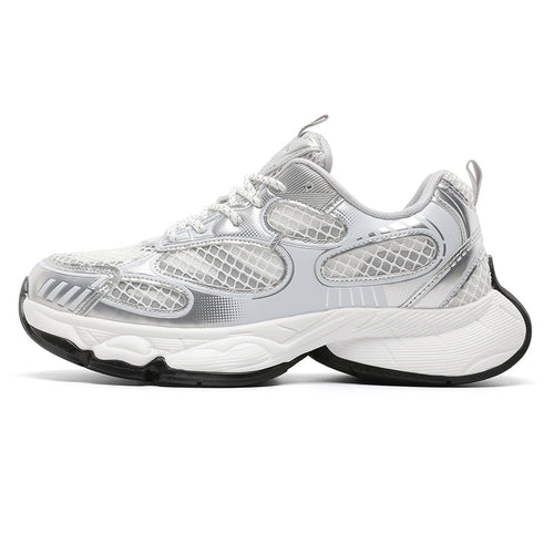 S8501 Silver Shoes Niepce