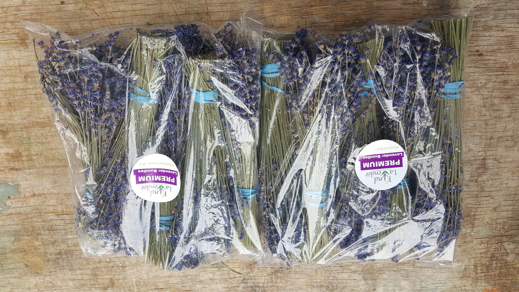 Dried Lavender Bundles 8-10 inch Small Pack of 10 Home Decor Findlavender.com