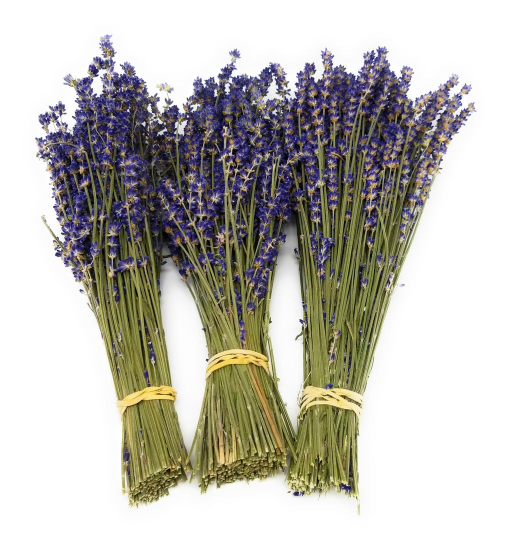 Dried Lavender Bundles Royal Velvet 14-18 Inch Aromatherapy Decor Findlavender.com