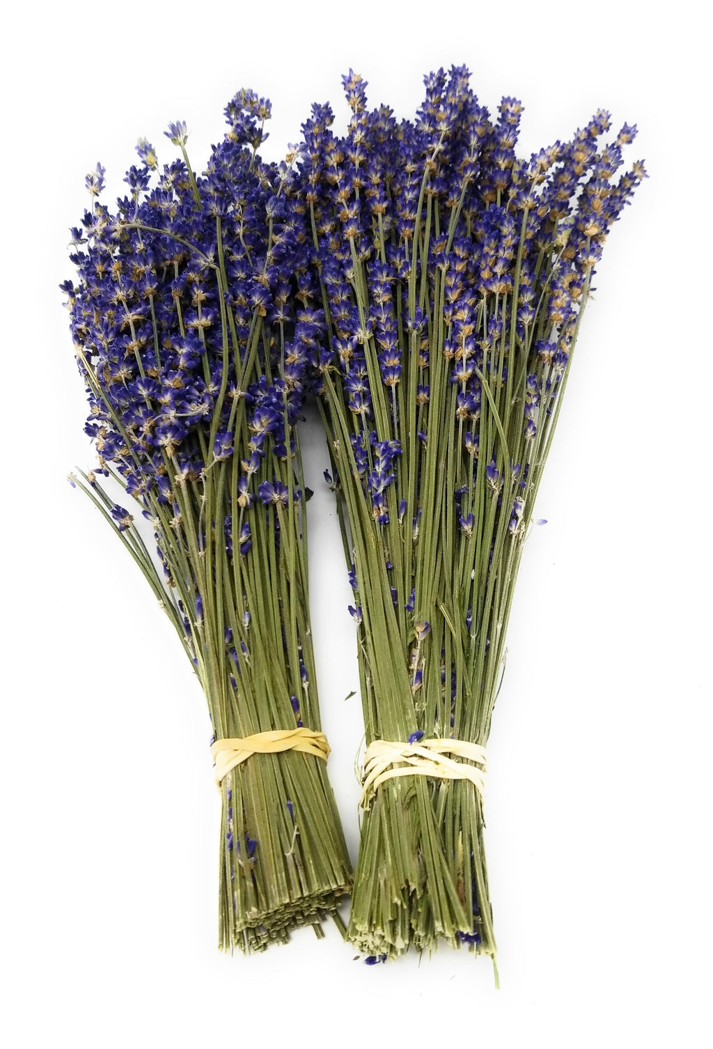 Dried Lavender Bundles Royal Velvet 14-18 Inch Aromatherapy Decor Findlavender.com