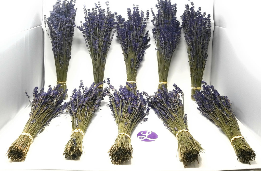 Lavender Royal Velvet Bundles (Culinary) - 10 Bundle Pack Findlavender.com