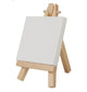 Mini Canvas with Easel (medium)