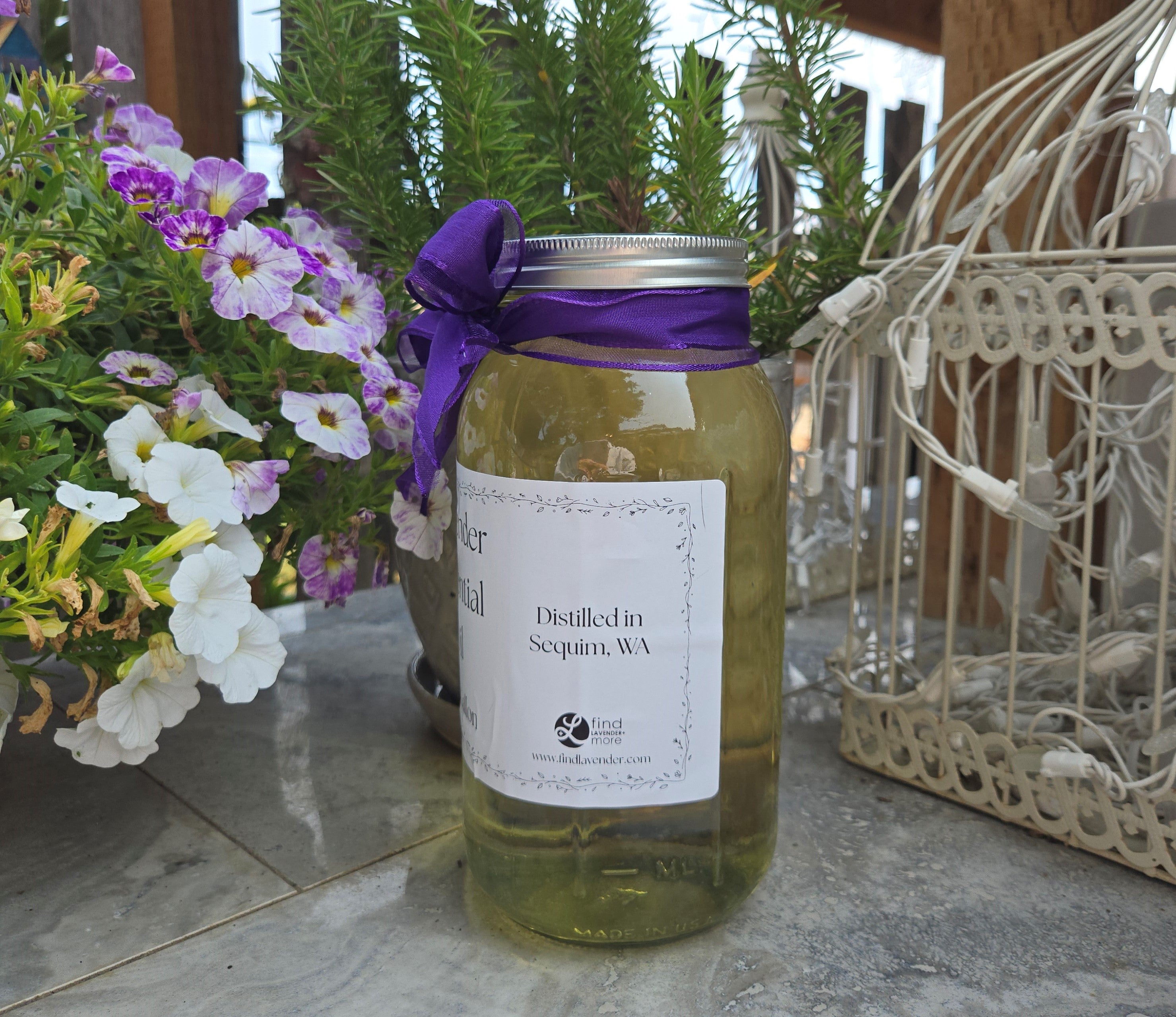 Bulk Lavender Essential Oil Half Gallon Washington Grown Aromatherapy Findlavender.com