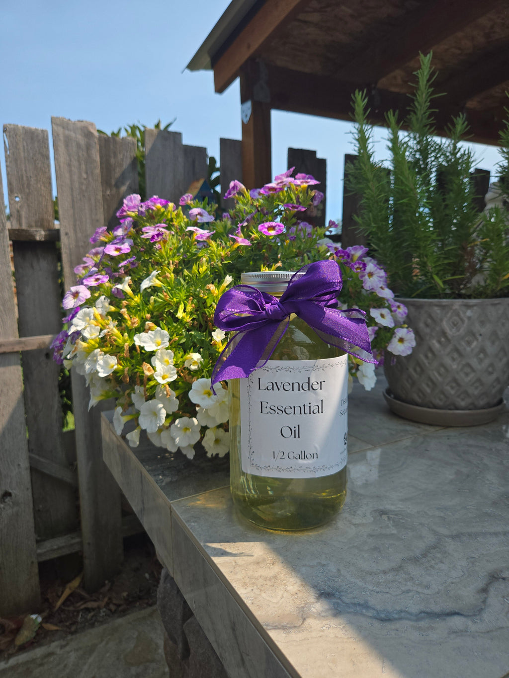 Bulk Lavender Essential Oil Half Gallon Washington Grown Aromatherapy Findlavender.com