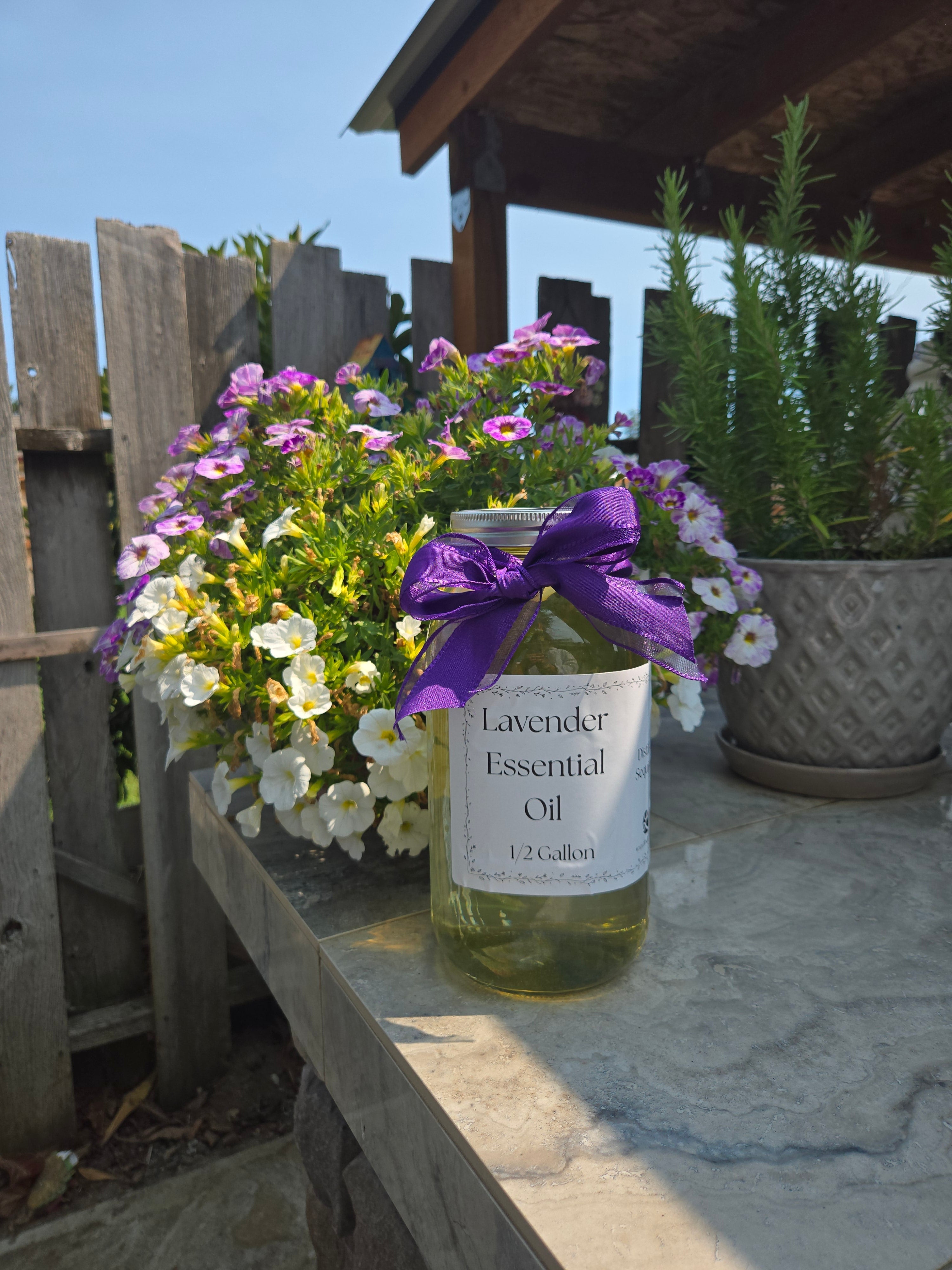 Bulk Lavender Essential Oil Half Gallon Washington Grown Aromatherapy Findlavender.com