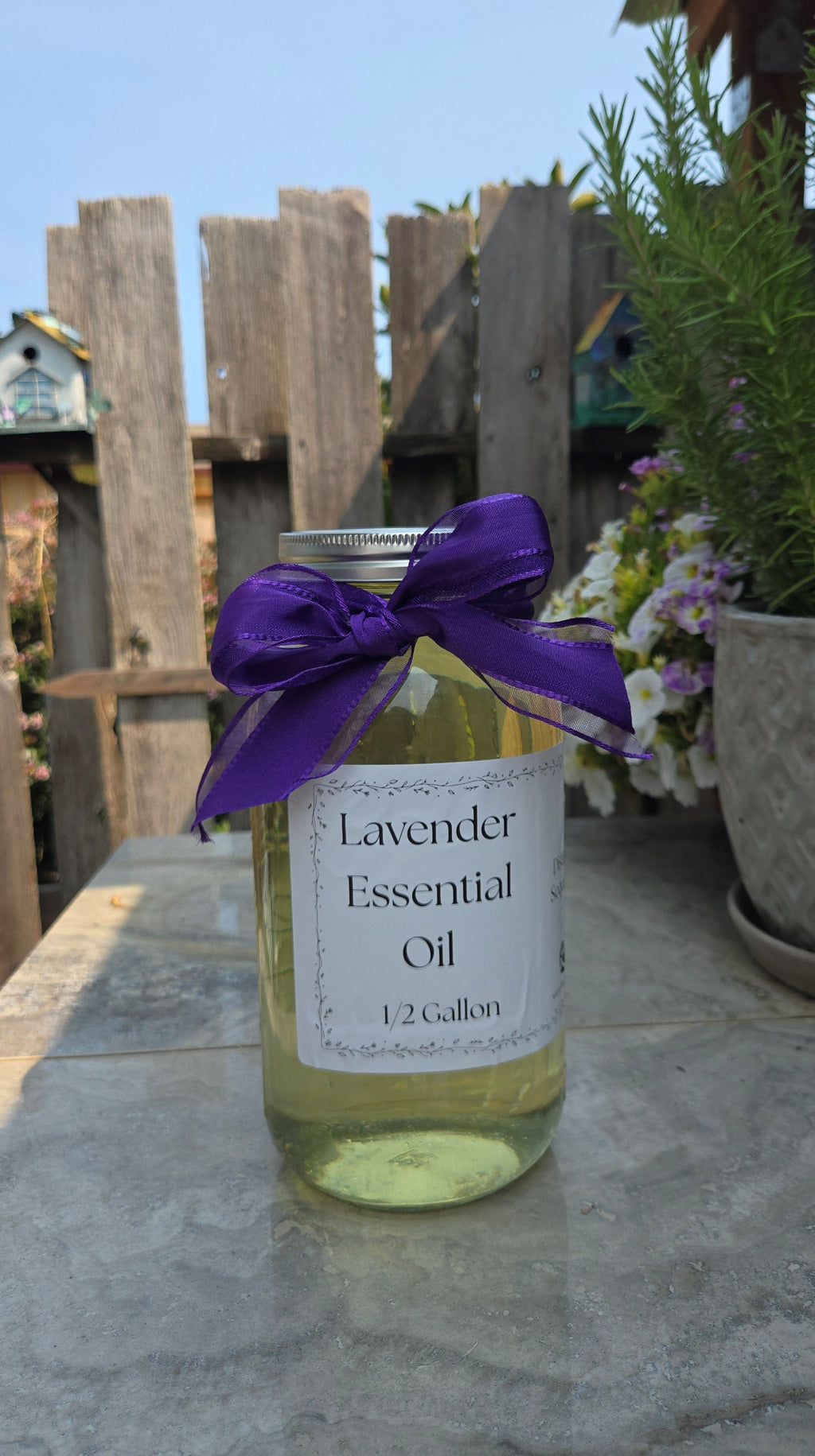 Bulk Lavender Essential Oil Half Gallon Washington Grown Aromatherapy Findlavender.com