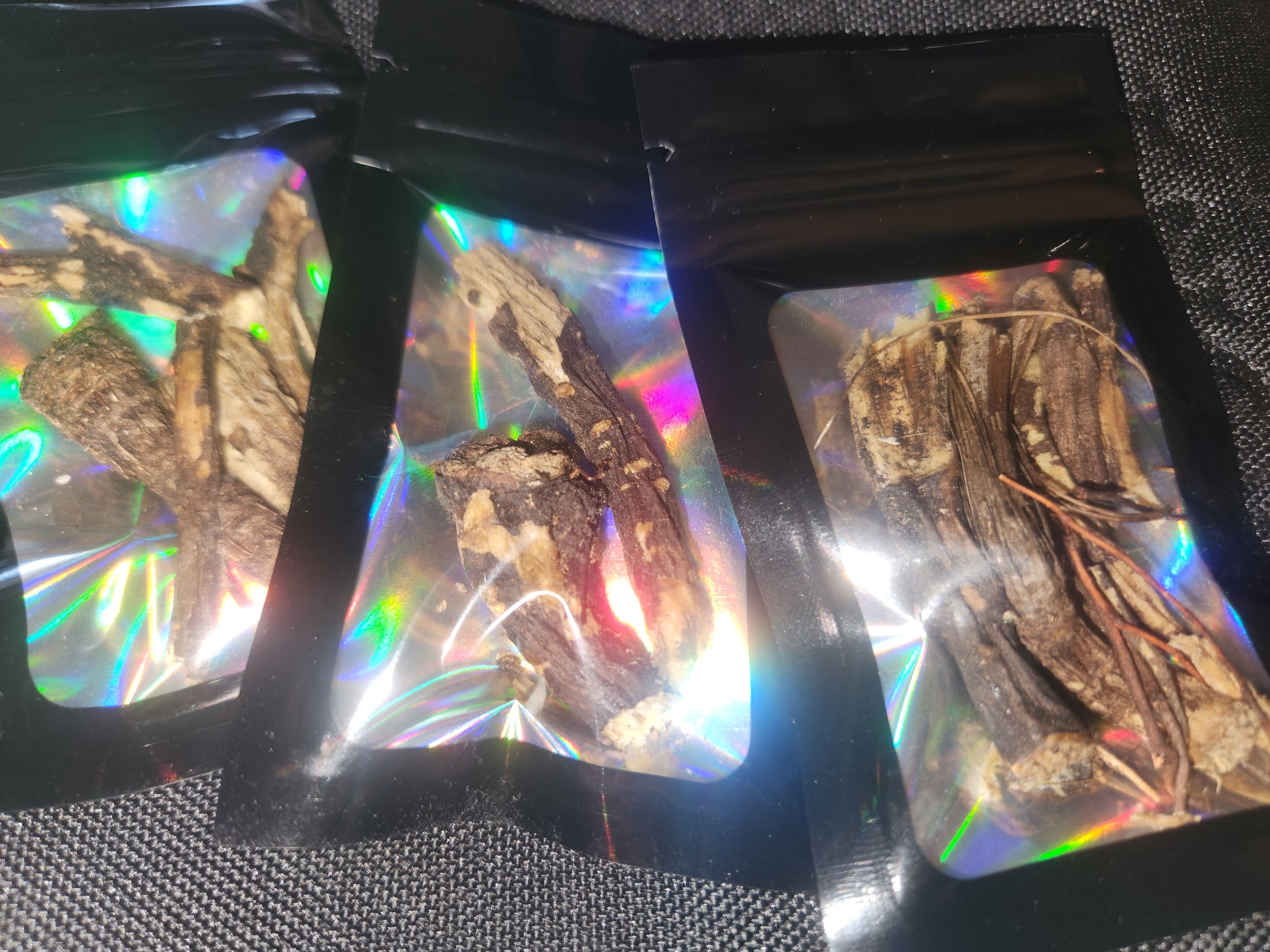 Wild Crafted Osha Root: Whole Rare Herb (Ligusticum Porteri) MindFreakArtistry