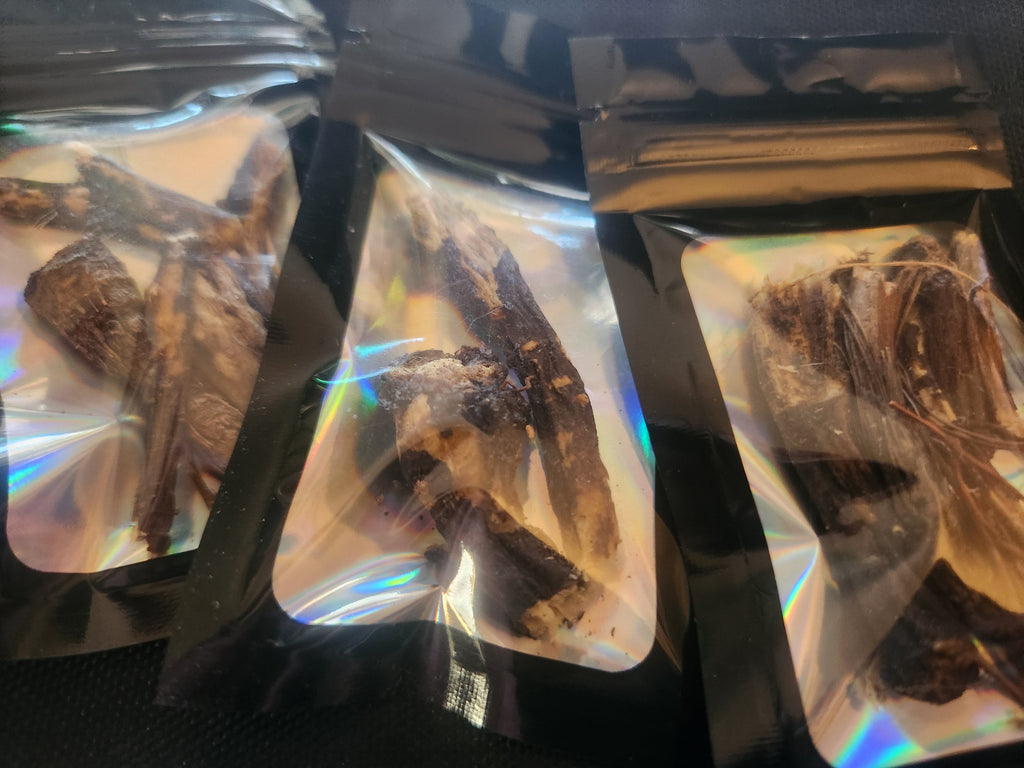Wild Crafted Osha Root: Whole Rare Herb (Ligusticum Porteri) MindFreakArtistry