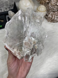 Selenite Raw Specimen Medium on Wood Base | Brazil Curious Muse Crystals