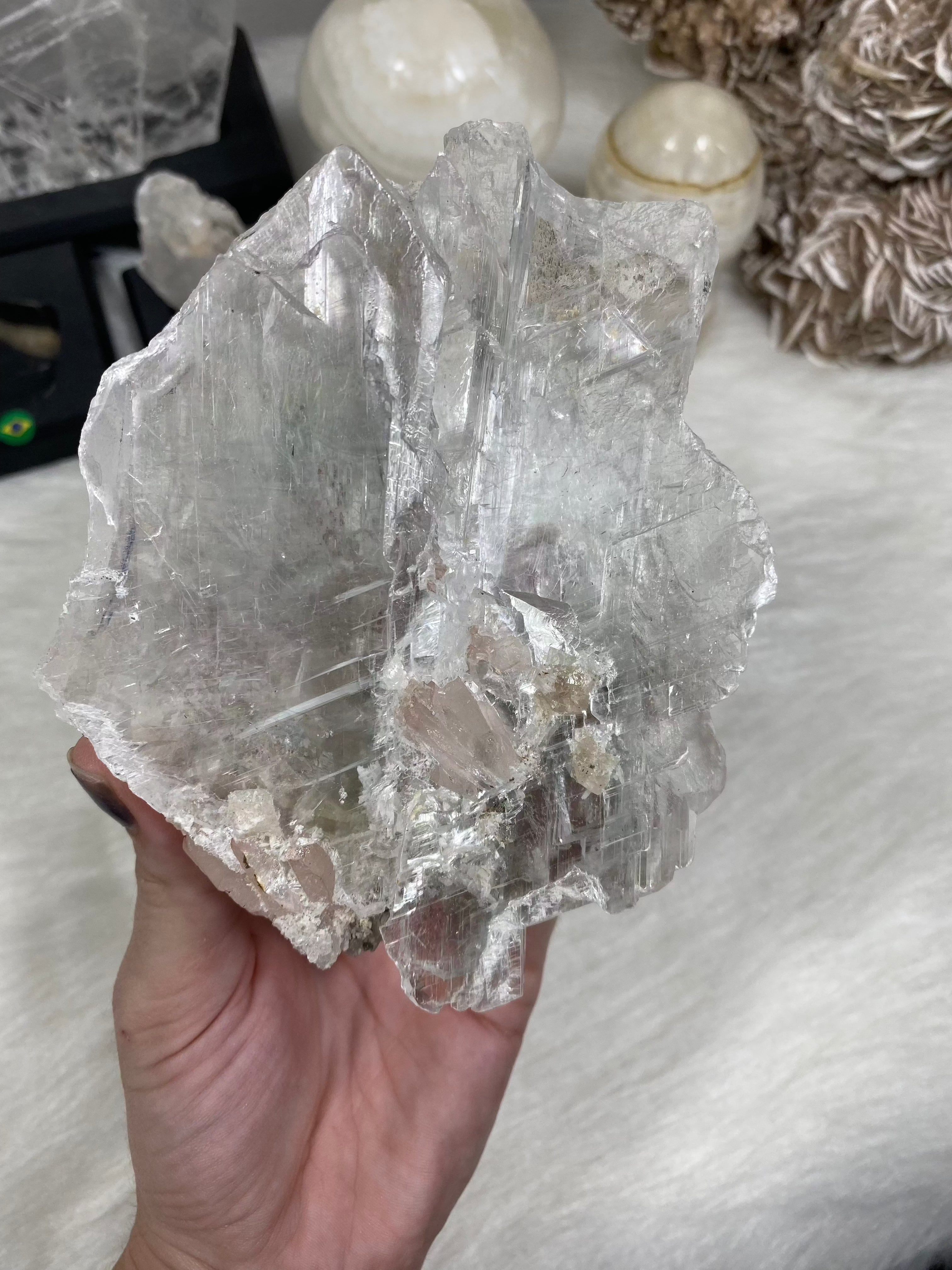 Selenite Raw Specimen Medium on Wood Base | Brazil Curious Muse Crystals