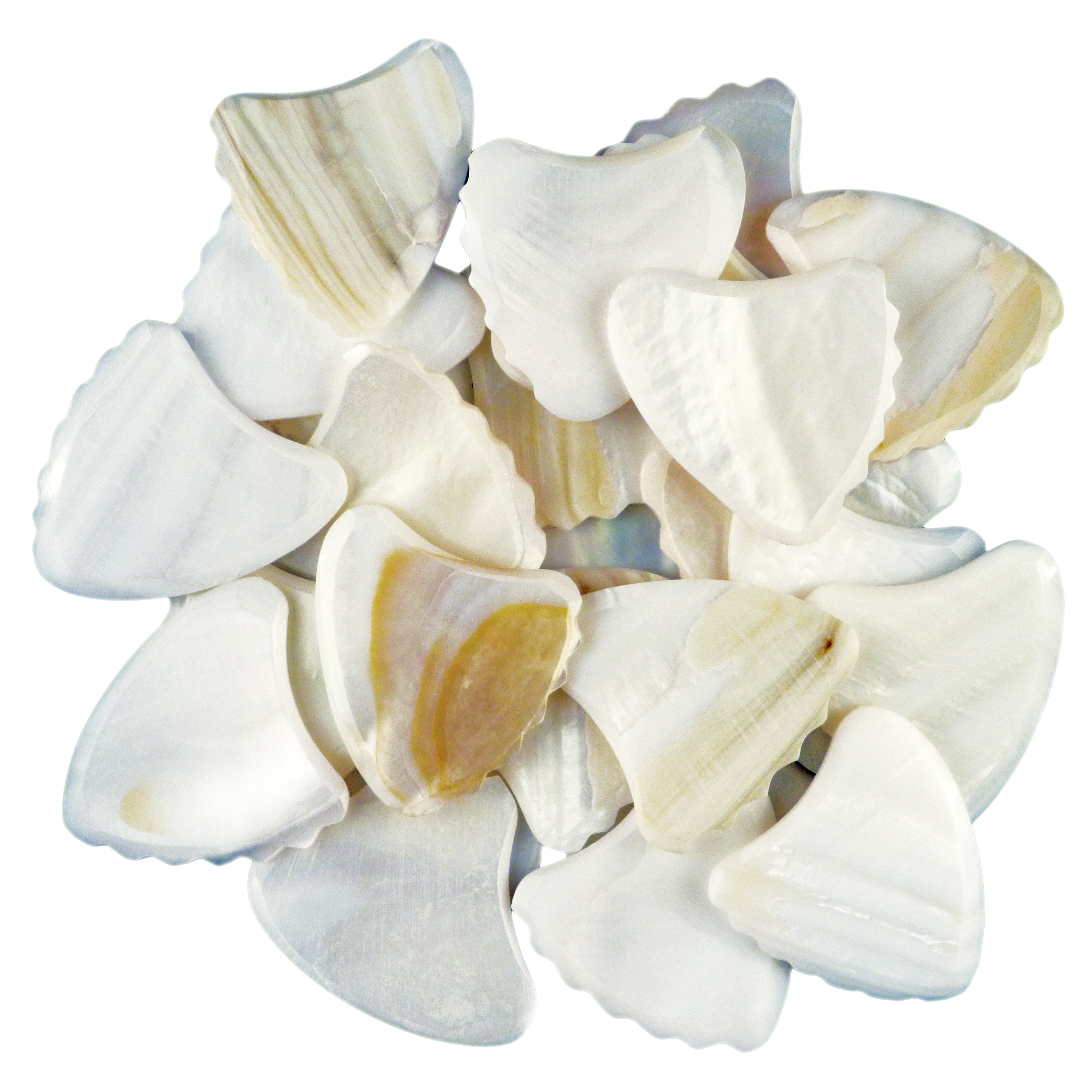 White Abalone Shell Guitar Or Bass Pick - 2.0 mm - 390 Wedge Shark Fin Shape - Handmade Specialty Exotic Luxury Plectrum Exotic Plectrums