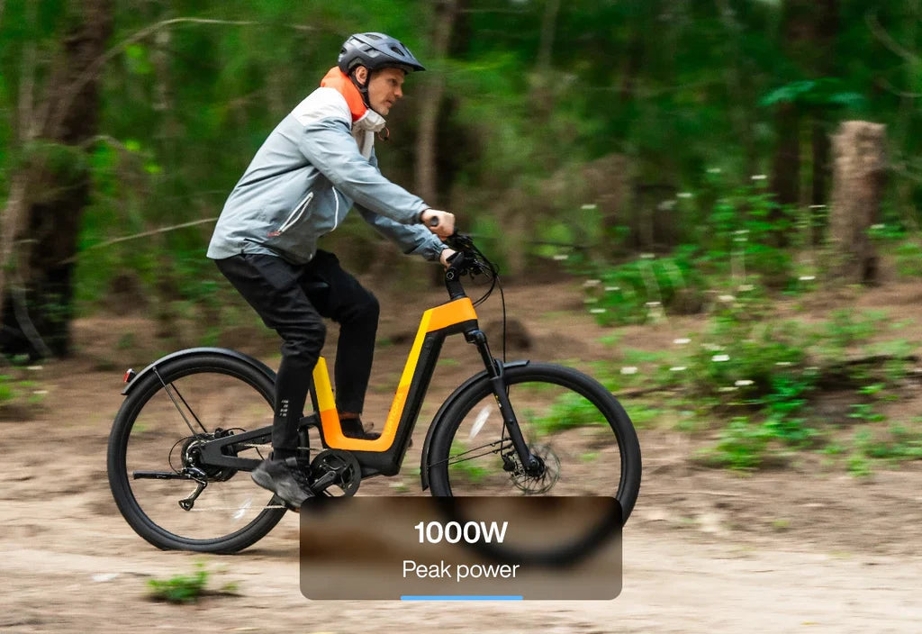 Urtopia Carbon Fusion Pro E-Bike Rex E-Bikes
