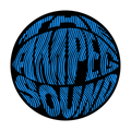 The Ampeg Sound Sticker Pluginz Keychains