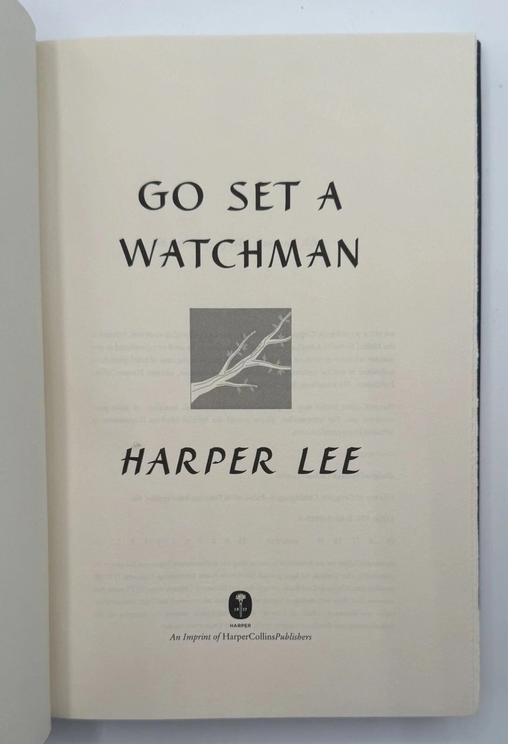 Go Set A Watchman by Harper Lee Cedar Leaf Books