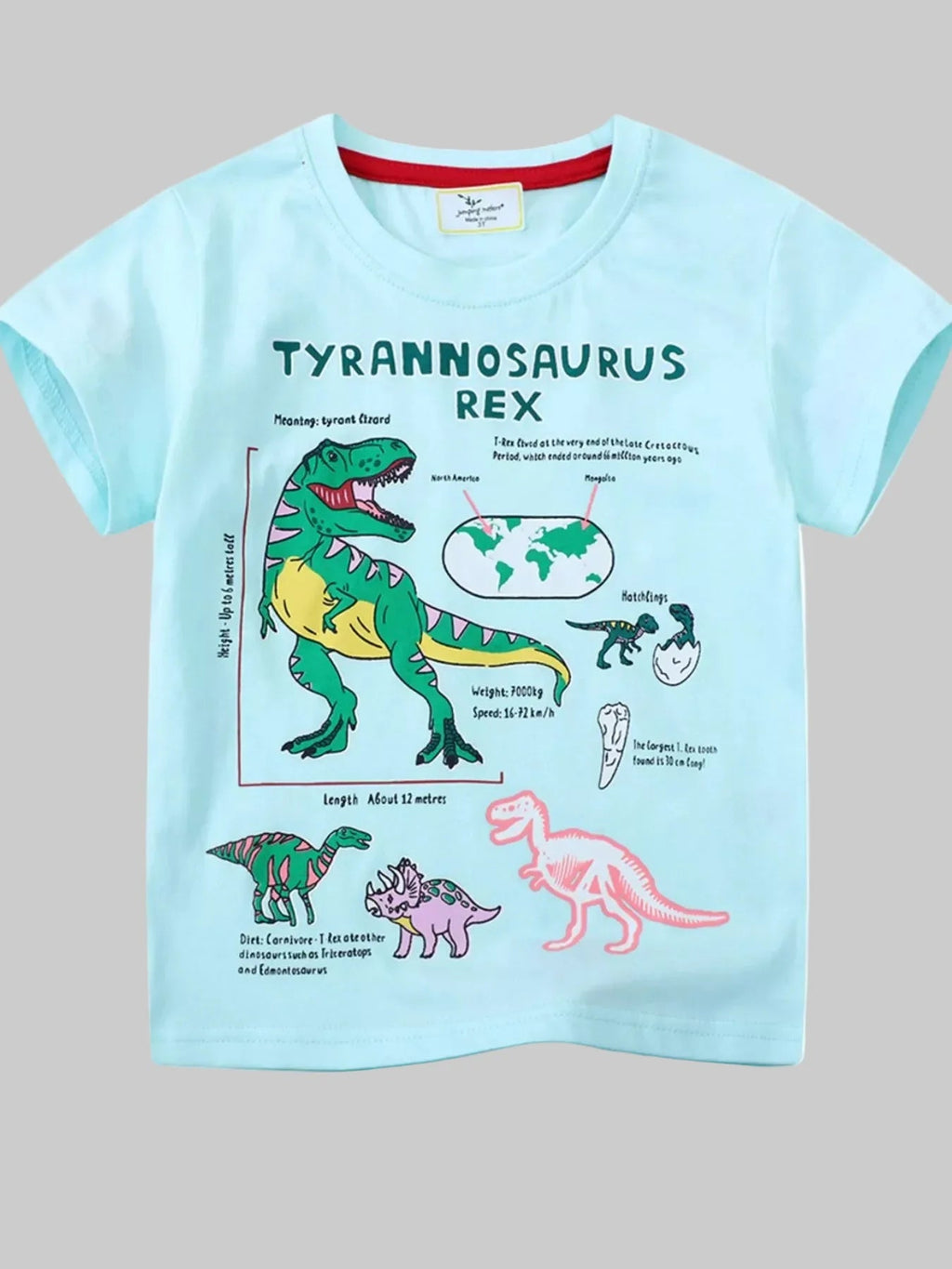 Toddler Boys Dinosaur Graphic Short Sleeve T-Shirt NicholesGifts