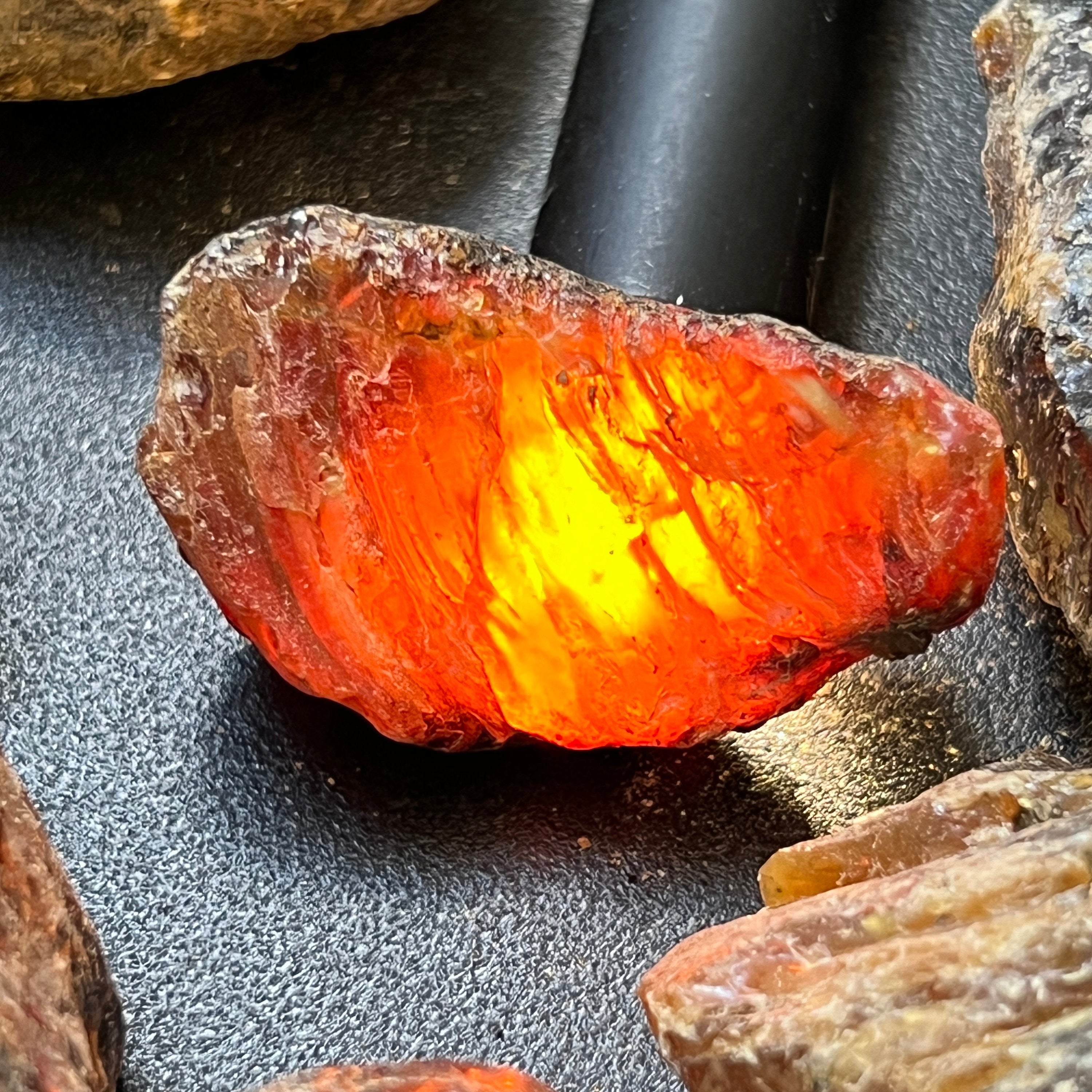 Black Amber Fossilized Tree Resin Mixed Sizes Rough Raw Stones (By The Piece or Pound)(UV Reactive) Wholesale Amazing Crystals