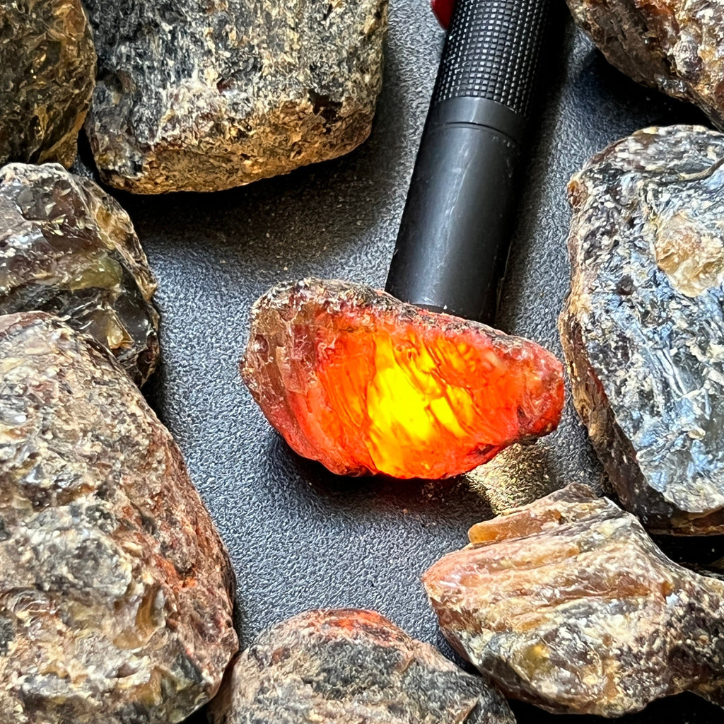 Black Amber Fossilized Tree Resin Mixed Sizes Rough Raw Stones (By The Piece or Pound)(UV Reactive) Wholesale Amazing Crystals