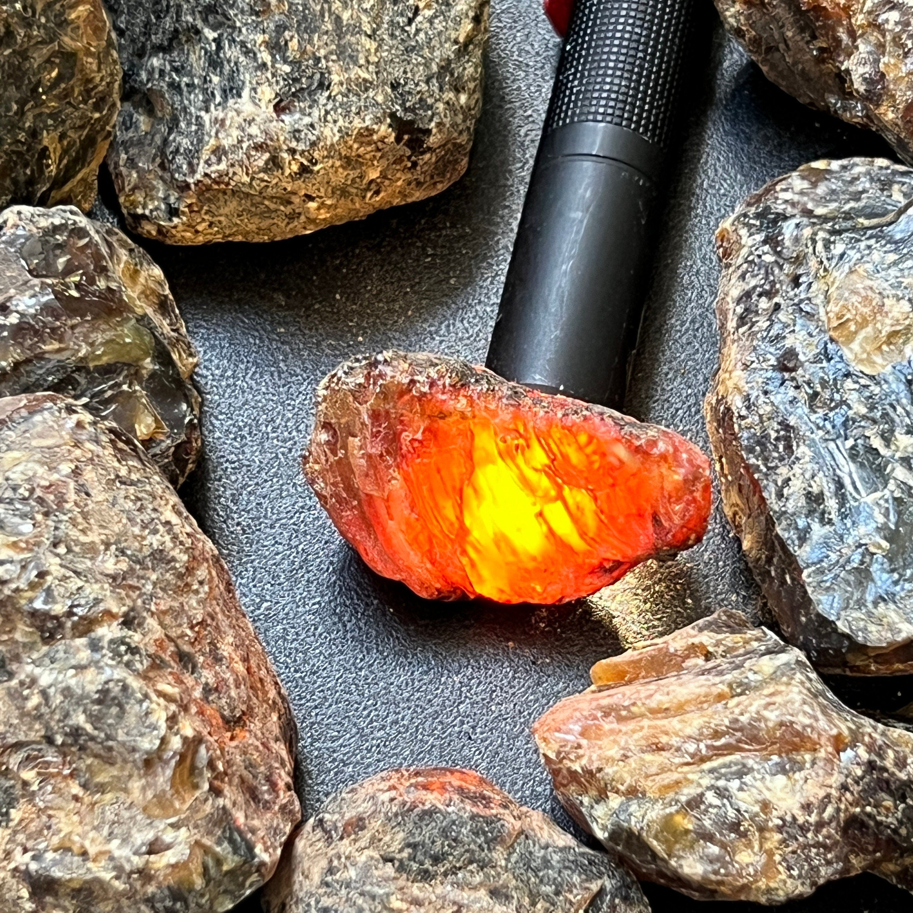 Black Amber Fossilized Tree Resin Mixed Sizes Rough Raw Stones (By The Piece or Pound)(UV Reactive) Wholesale Amazing Crystals